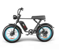 20" Dual-Drive Electric Bike | 48V 2000W Twin Motor, 23Ah Battery, 50-70KM Range