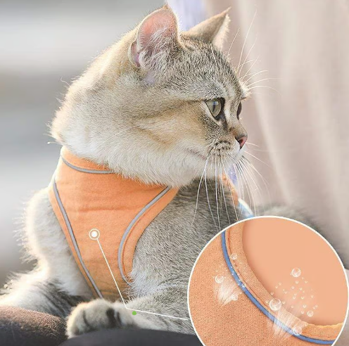 üêï One Piece Pet Vest Leash ‚Äì Adjustable & breathable mesh