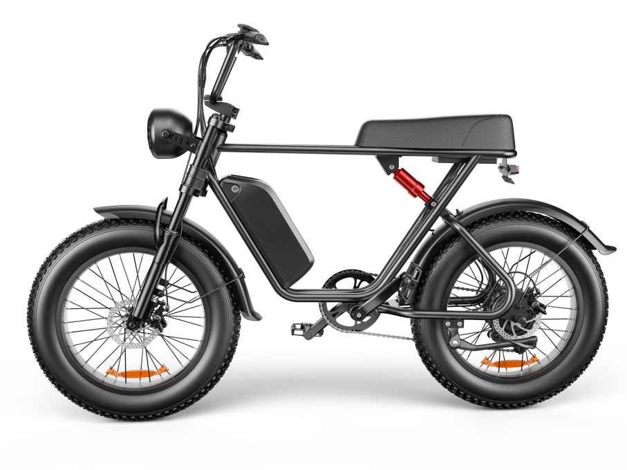 20" Fat Tire Electric Bike | 48V 1000W, 20Ah Battery, 55-70KM Range
