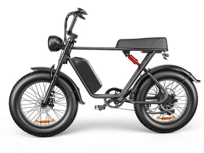 20" Fat Tire Electric Bike | 48V 1000W, 20Ah Battery, 55-70KM Range