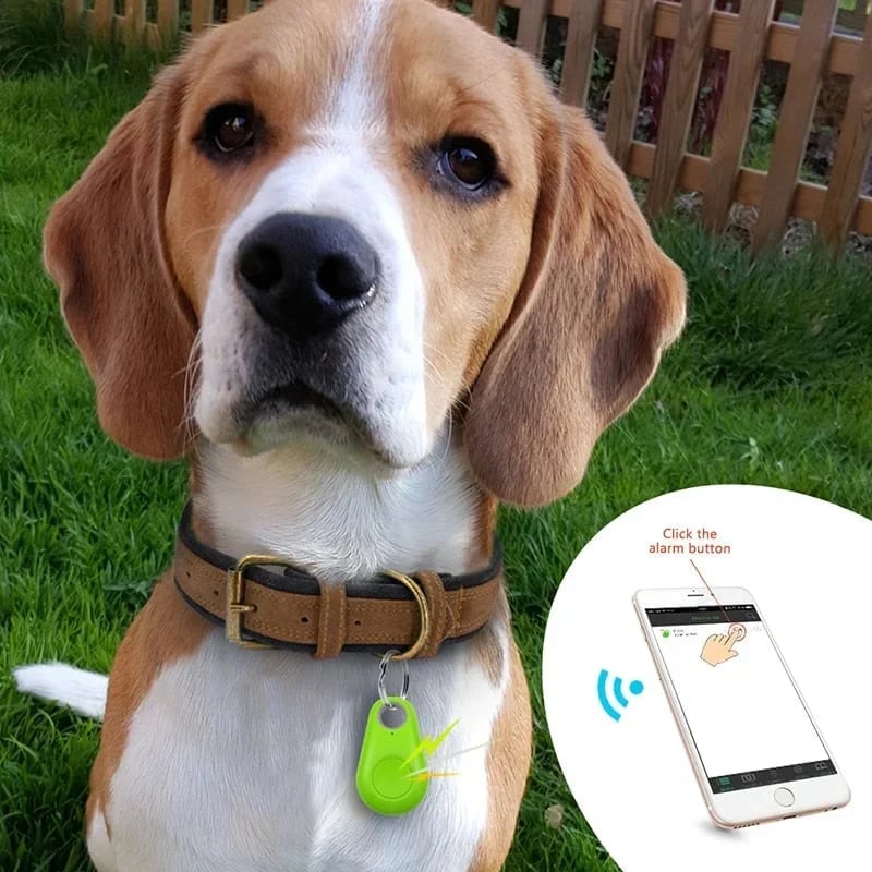 üî•Intelligent Tracking Locator