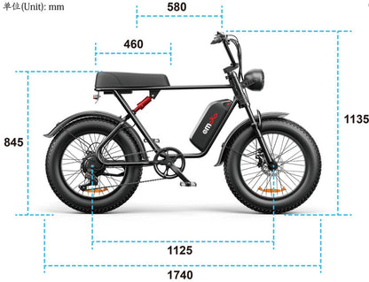 20" Fat Tire Electric Bike | 48V 1000W, 20Ah Battery, 55-70KM Range