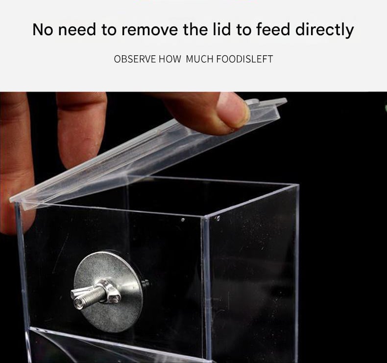 üî•No Mess Automatic Bird Feeder