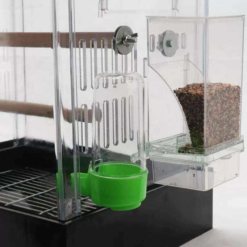 üî•No Mess Automatic Bird Feeder