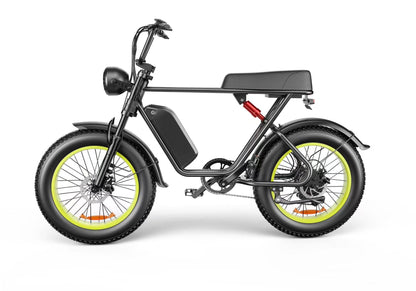 20" Fat Tire Electric Bike | 48V 1000W, 20Ah Battery, 55-70KM Range