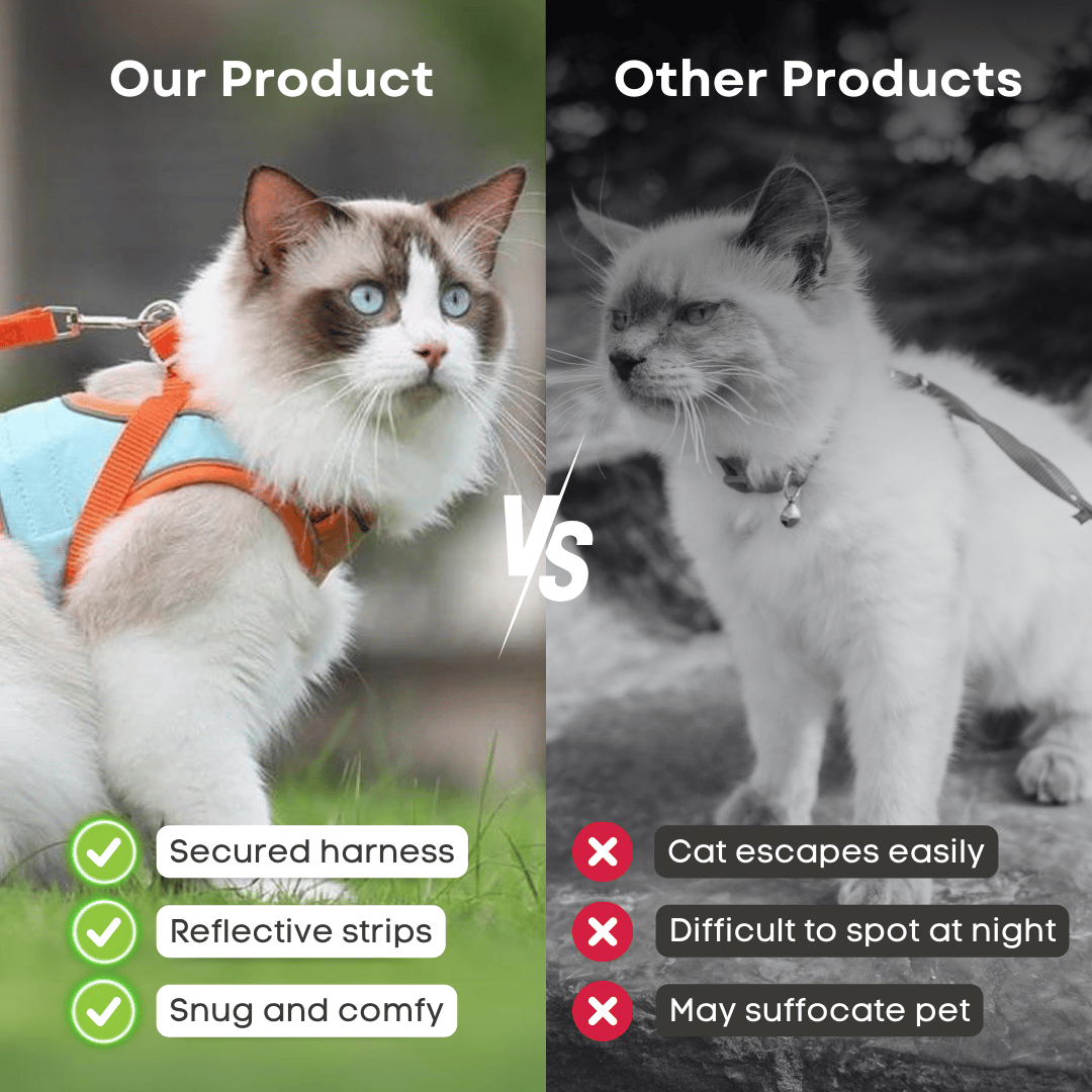 üî•Cat Harness & Leashüò∫‚ú®