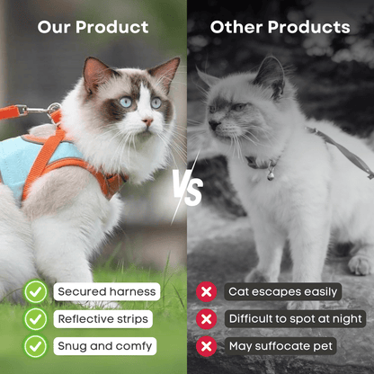 üî•Cat Harness & Leashüò∫‚ú®