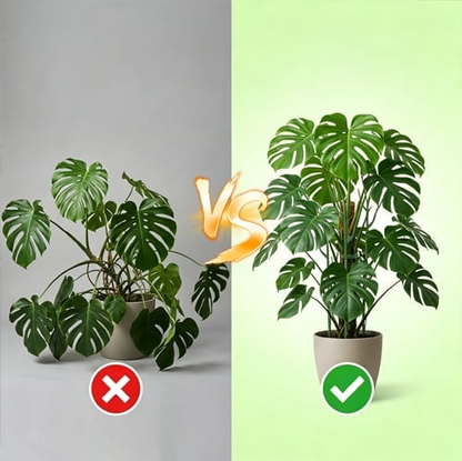 üåøBranch-Style Plant Support Stakesüåø