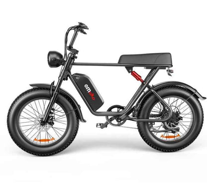 20" Fat Tire Electric Bike | 48V 1000W, 20Ah Battery, 55-70KM Range