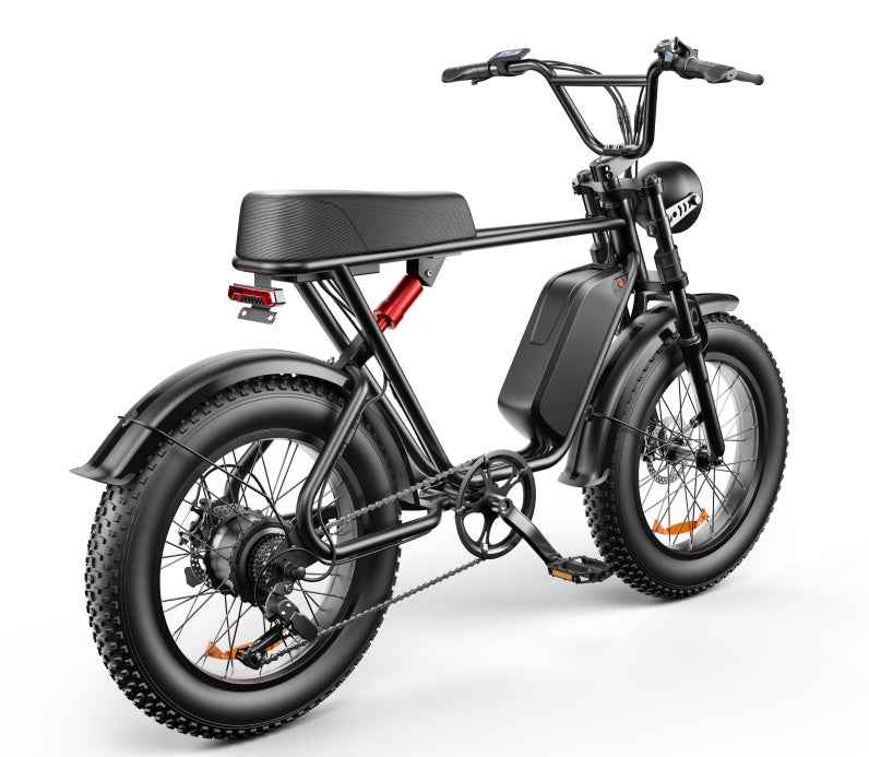 20" Fat Tire Electric Bike | 48V 1000W, 20Ah Battery, 55-70KM Range