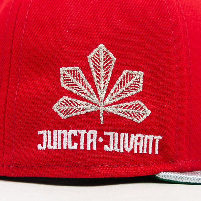Cincinnati Reds City Connect Fitted Cap (Red/Metallic Silver)