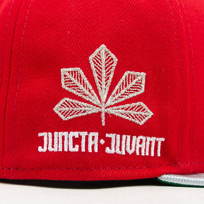 Cincinnati Reds City Connect Fitted Cap (Red/Metallic Silver)