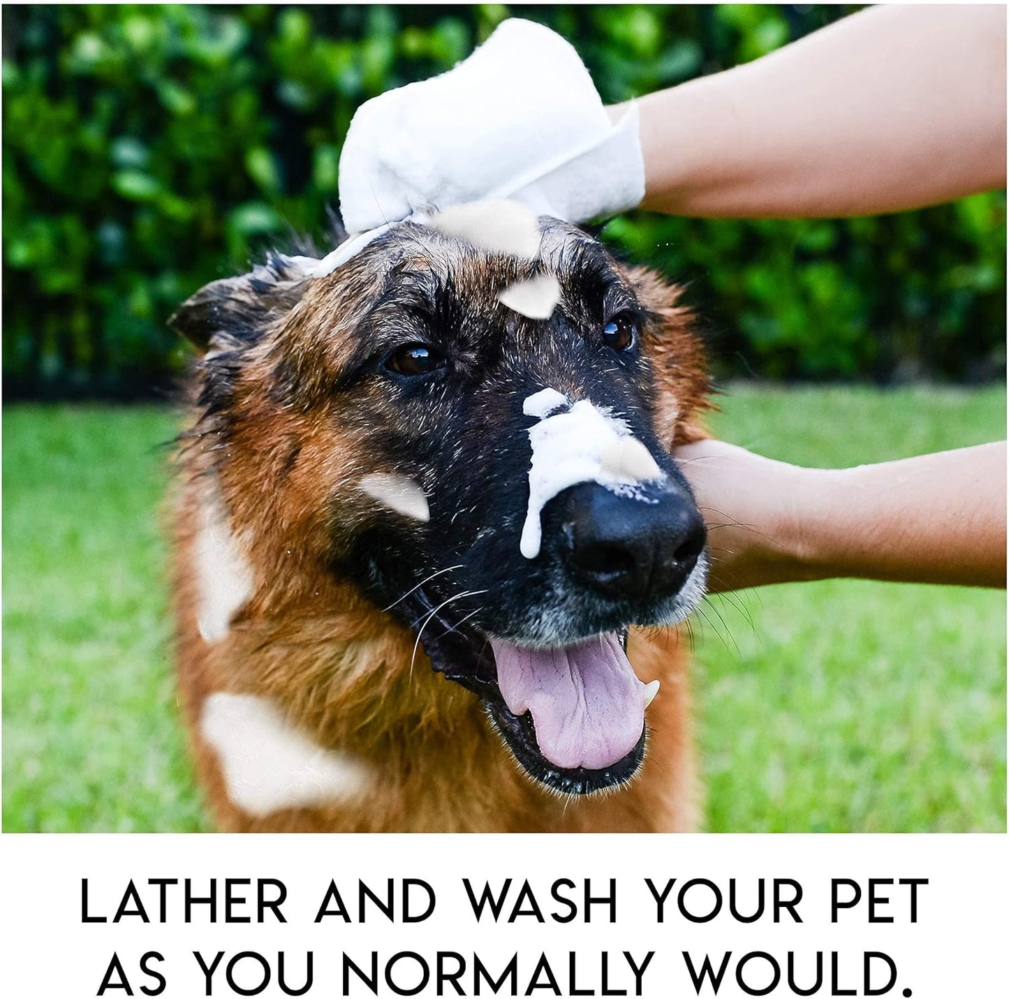 üî•Rinse-Free Dog Shampoo Mitts ‚Äì Hypoallergenic Pet Bath Wipes, 6 Packs