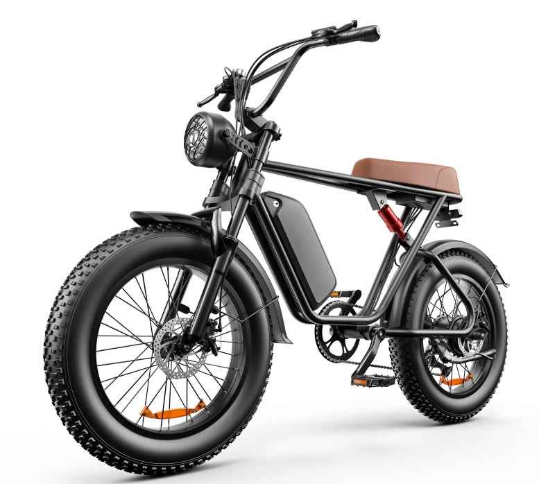 20" Fat Tire Electric Bike | 48V 1000W, 20Ah Battery, 55-70KM Range