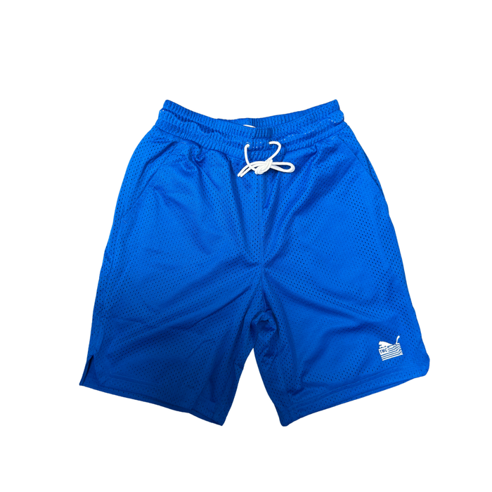 Every Day Hussle Mesh Short (Puma Royal)