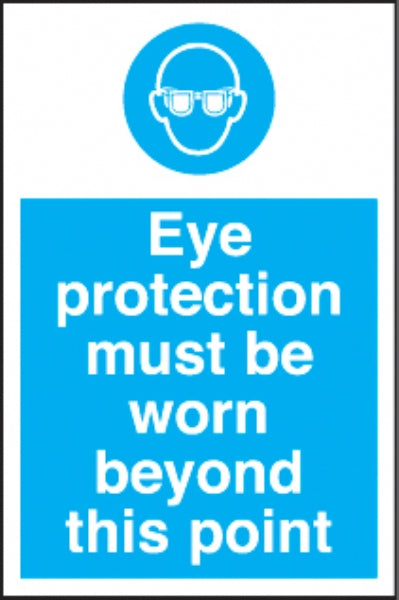 eye protection beyond this point