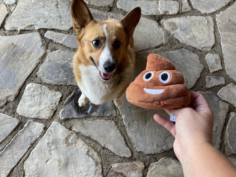 üéÅLowest price everüí•Funny  Poop Plush Toy ‚Äì Makes Fart Sounds!
