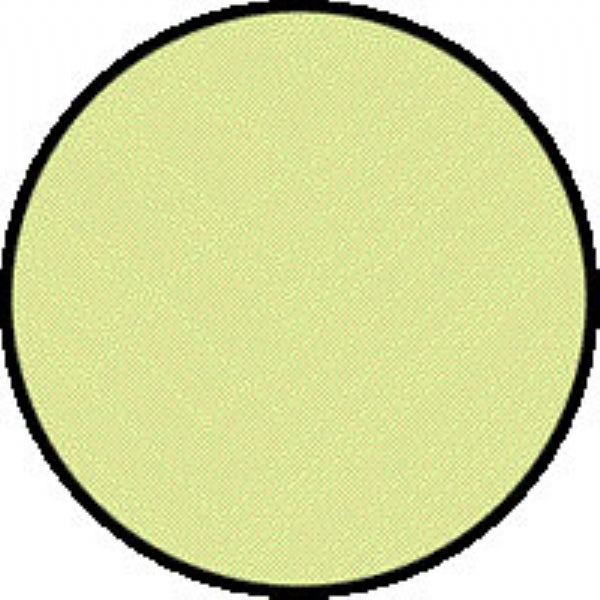 floor marker dots sheet of 12