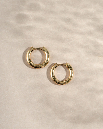 10mm Sylvia Hoops