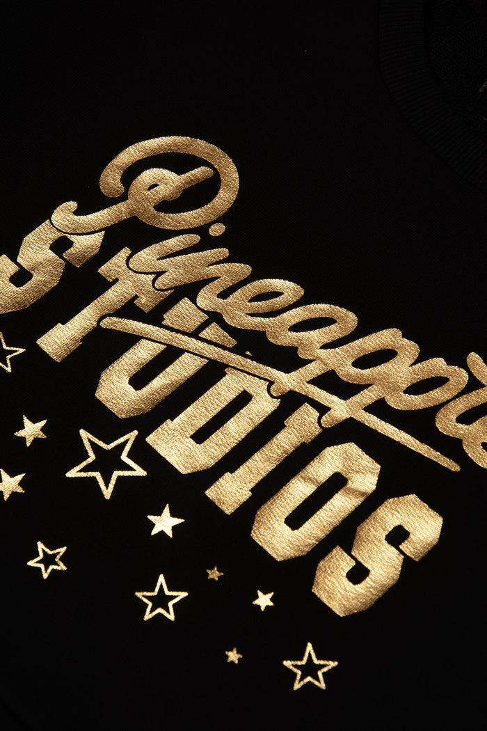 Detail shot of gold foil Pineapple Dance Studios logo and festive star prints