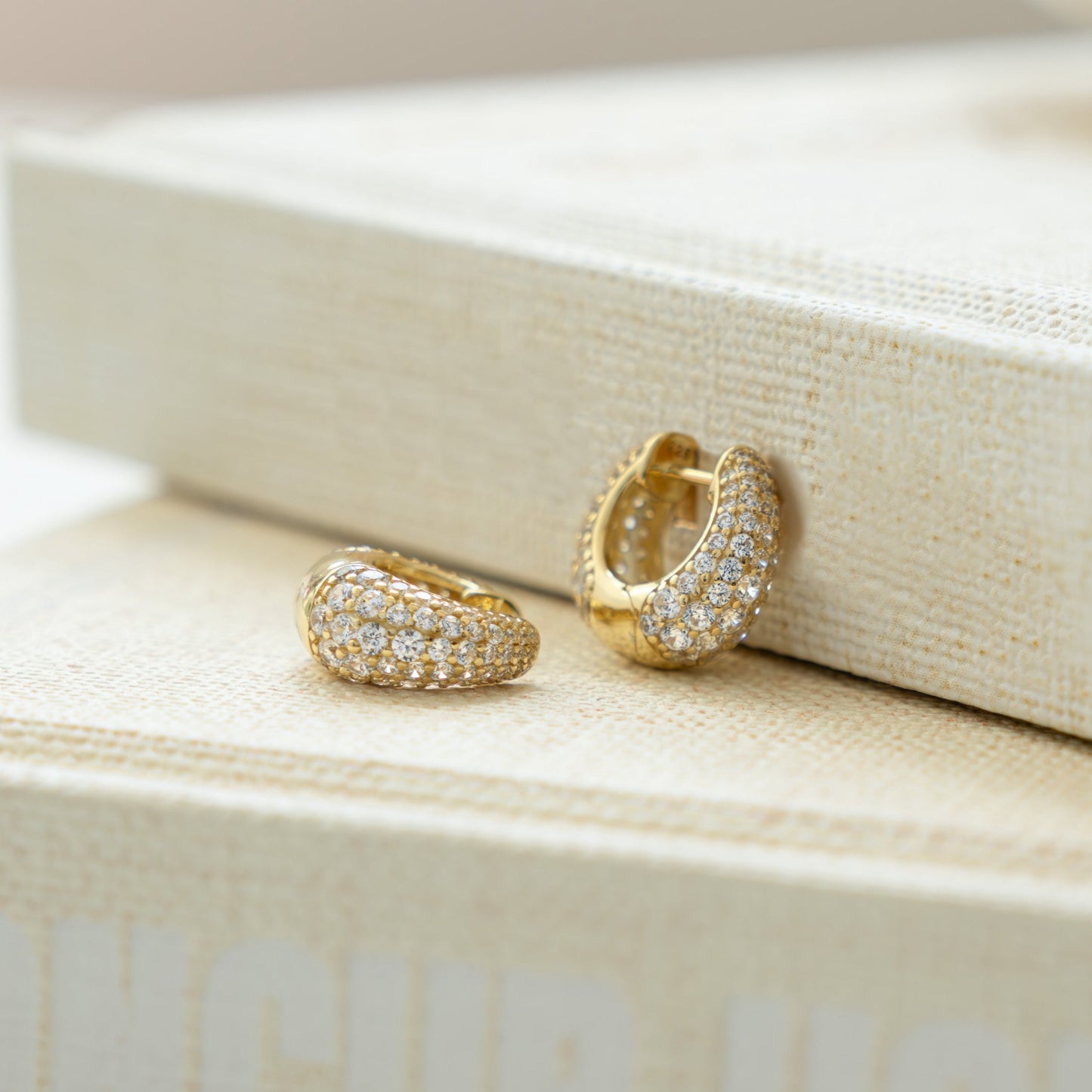 Basket Pave Hoops