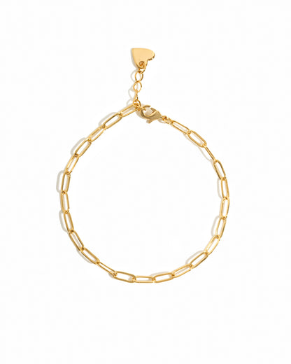 Small Paperclip Anklet