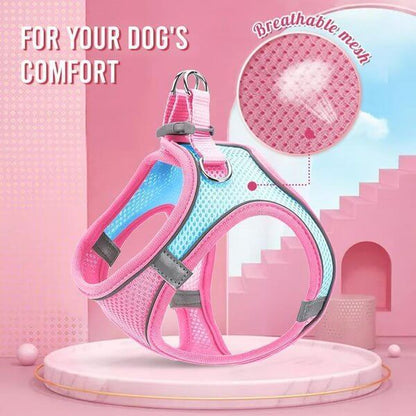 üêï One Piece Pet Vest Leash ‚Äì Adjustable & breathable mesh