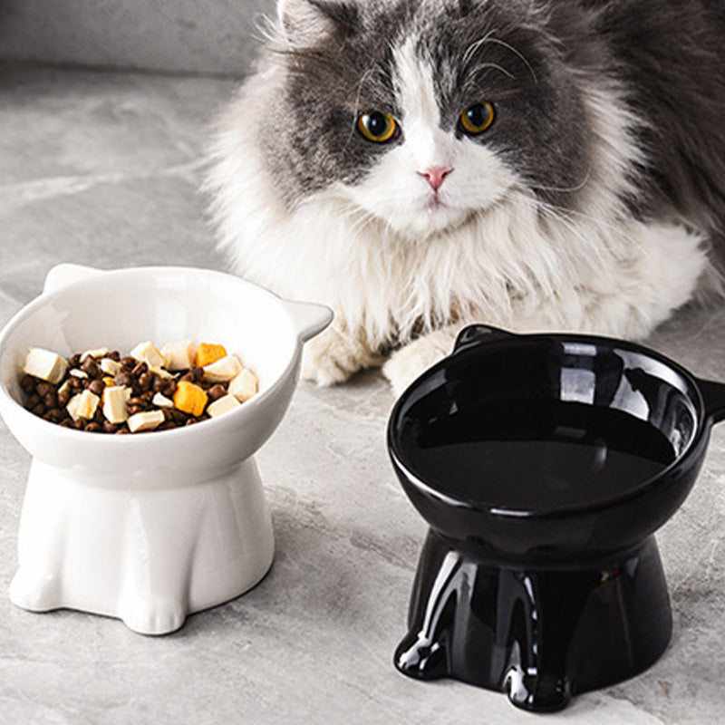 üíùErgonomic Elevated Cat Bowl