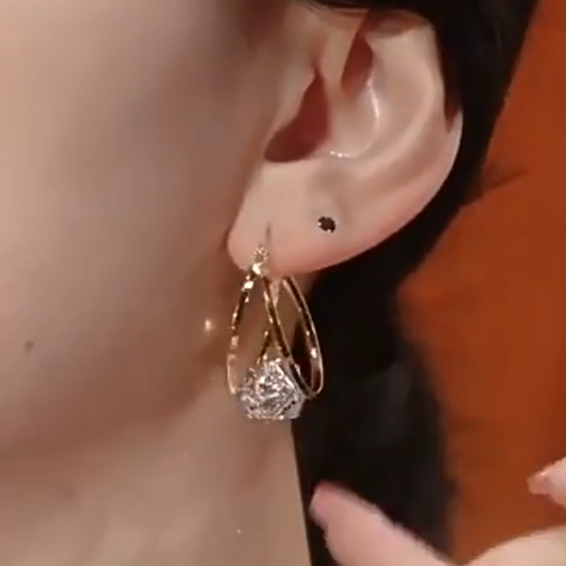üíñüëçDouble Hoop Sparkling Zirconia Ball Earrings