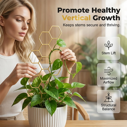 üåøHoneycomb Plant Trellis ‚Äì Rust-Proof, Stackable, Easy Install üêù