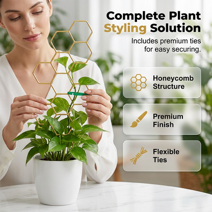 üåøHoneycomb Plant Trellis ‚Äì Rust-Proof, Stackable, Easy Install üêù