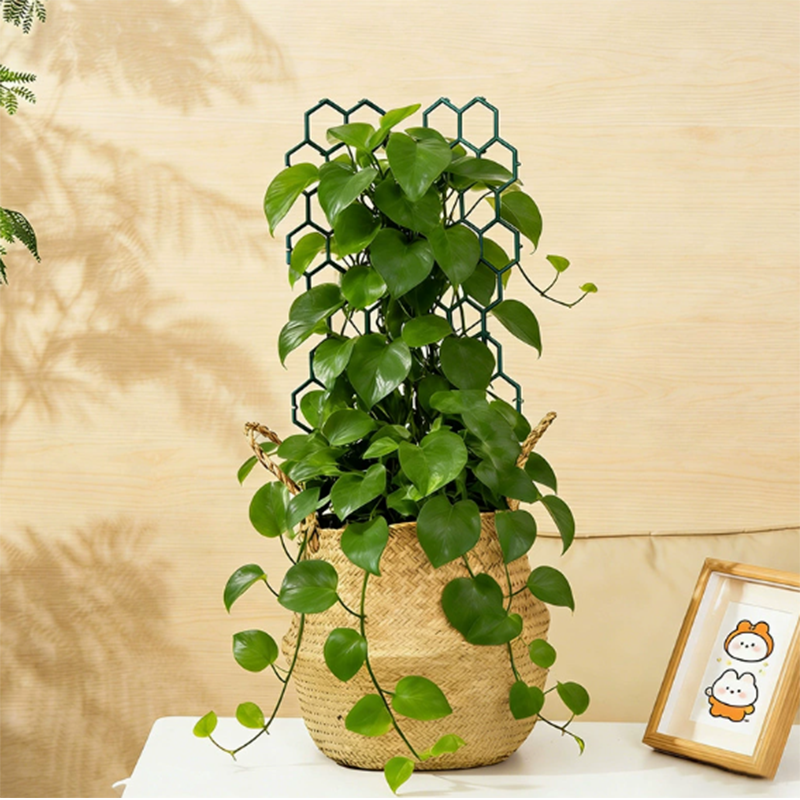 üåøHoneycomb Plant Trellis ‚Äì Rust-Proof, Stackable, Easy Install üêù